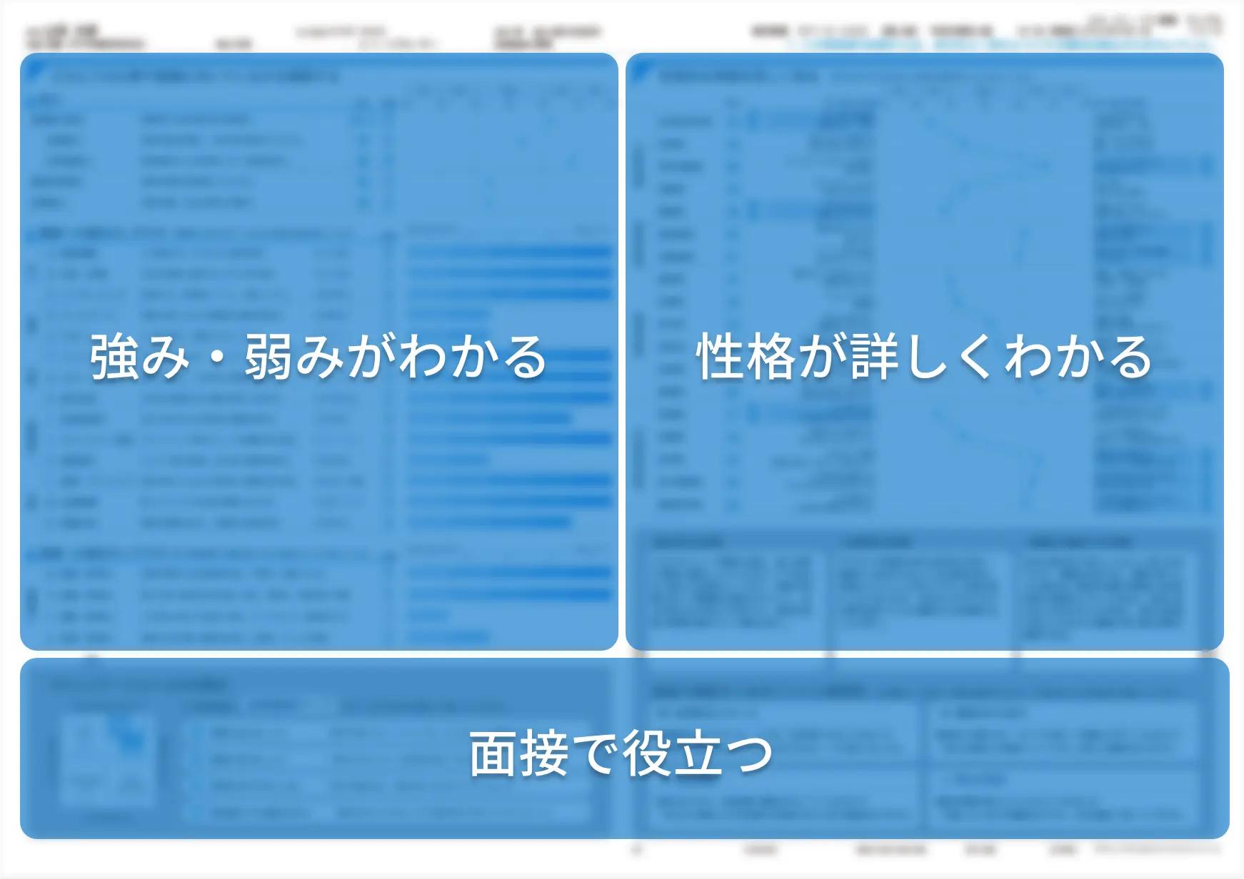 報告書イメージ①