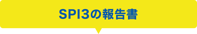 SPI3の報告書